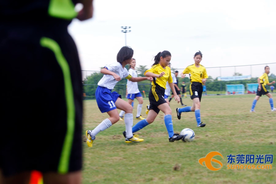 东莞麻涌足球赛,东莞市第九届田径运动会