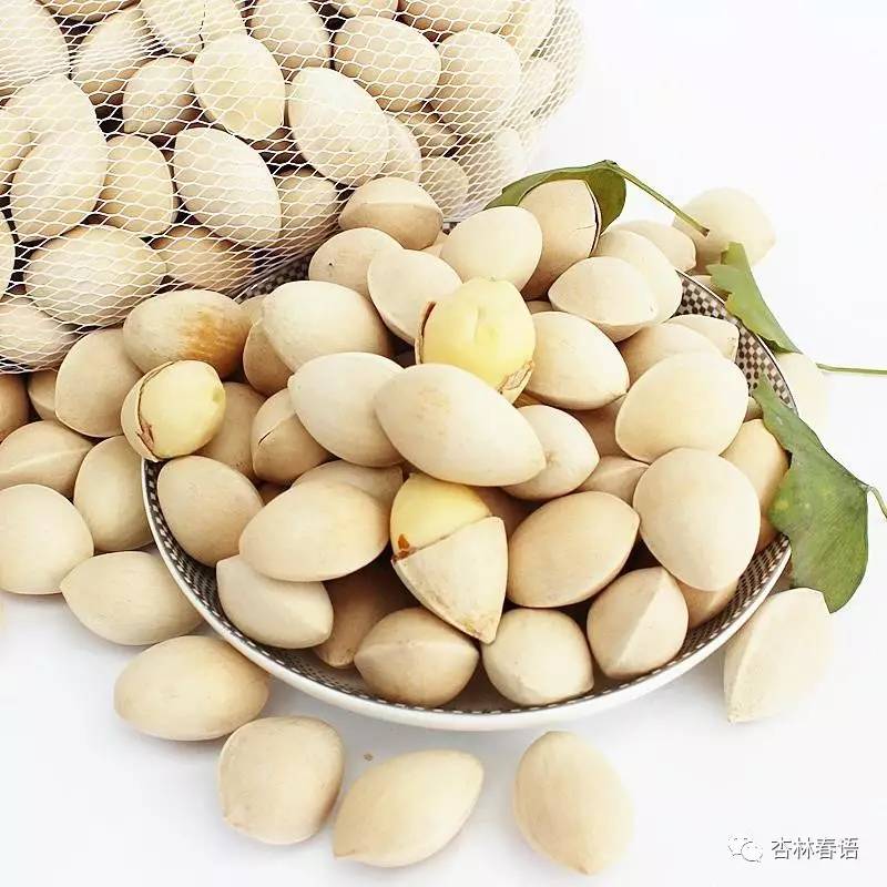 「中医养生保健素养常识」中药保健：药食同源之白果