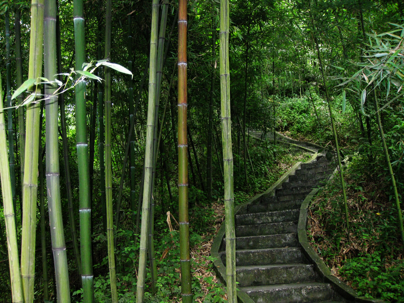 四川热天去哪玩凉快又好玩,四川竹海旅游推荐