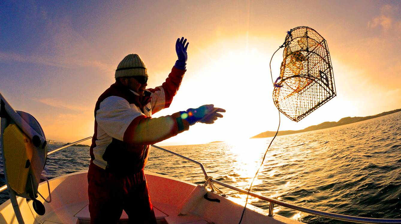鐟炲吀鏃呮父鑷┚鏀荤暐,鎸▉鑺叞鐟炲吀鑷┚