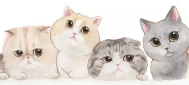 网购质量维权最直接有效的方法,网购被坑了损失谁来承担