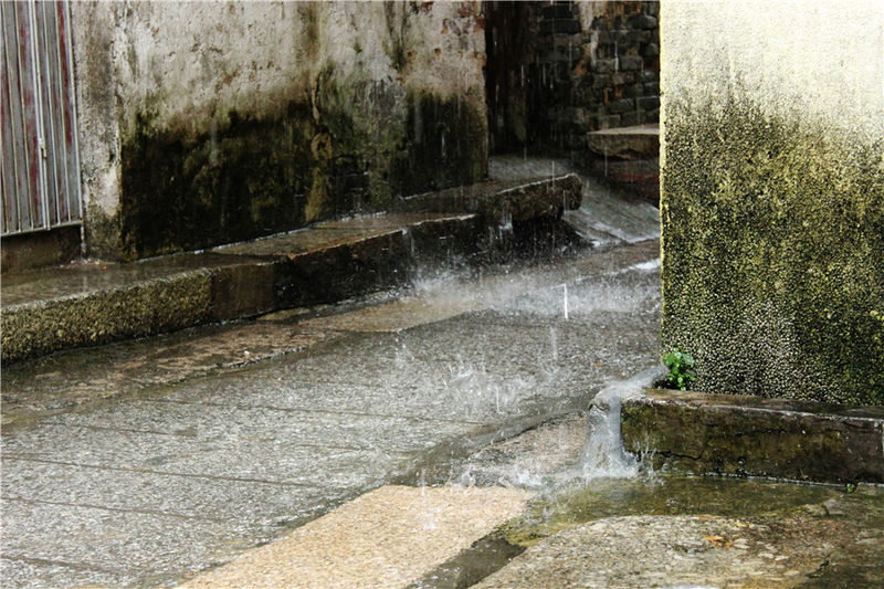 淇澳岛亲子游,一天时间玩转珠海淇澳岛