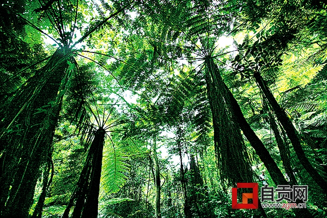 自贡世界地质公园扩园28倍,自贡世界地质公园管理中心