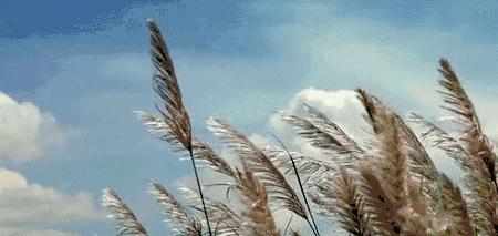 许巍每首歌背后的故事,许巍早期的经典语录