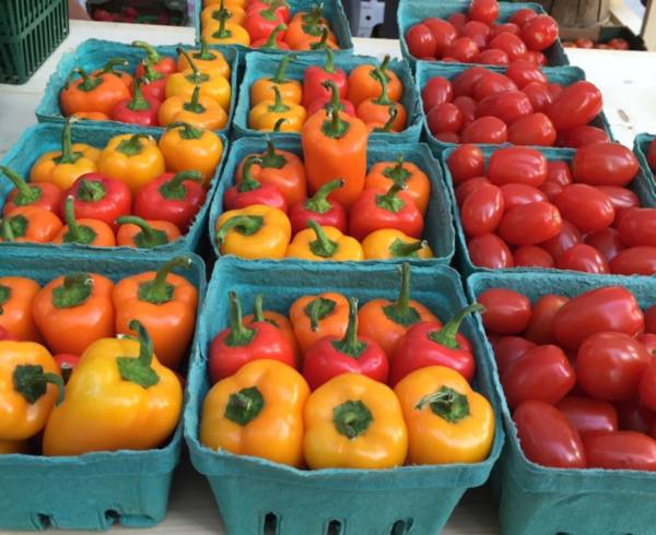 costco秒杀山姆,多伦多costco的最新特价