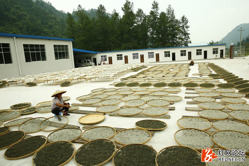 传说中的世外桃源:走进千年土家长寿村