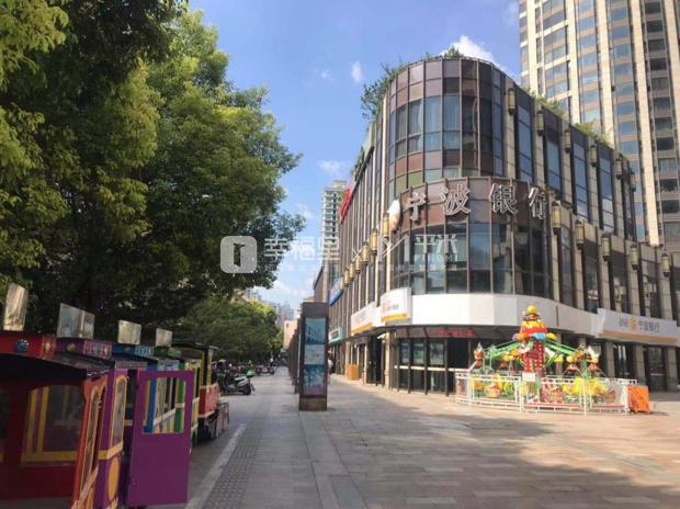 上海黄浦优质学区老破小,上海黄浦区顶级小学排行榜