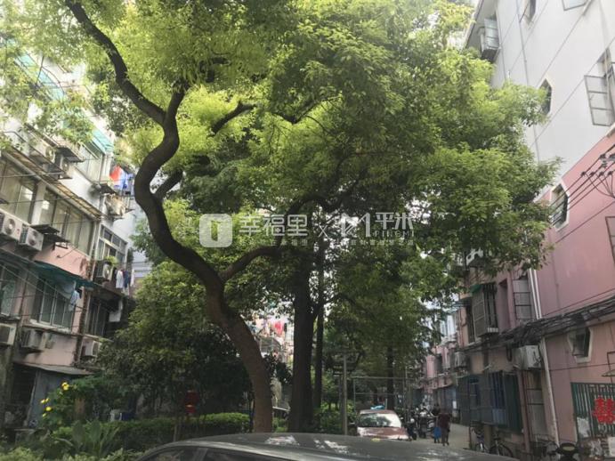 上海黄浦优质学区老破小,上海黄浦区顶级小学排行榜