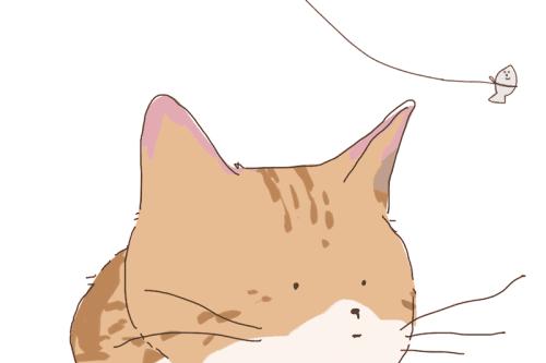 英语干货的正宗句子,英语口语干货