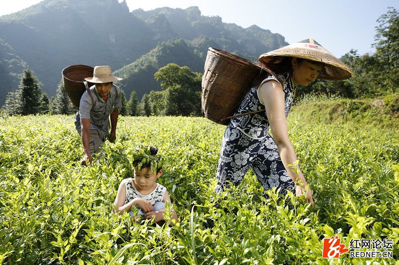 传说中的世外桃源:走进千年土家长寿村