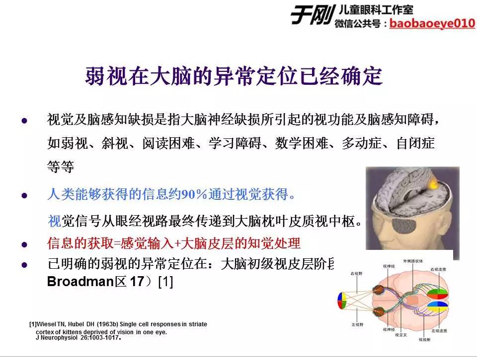 大龄弱视斜视训练,斜视弱视学网课推荐