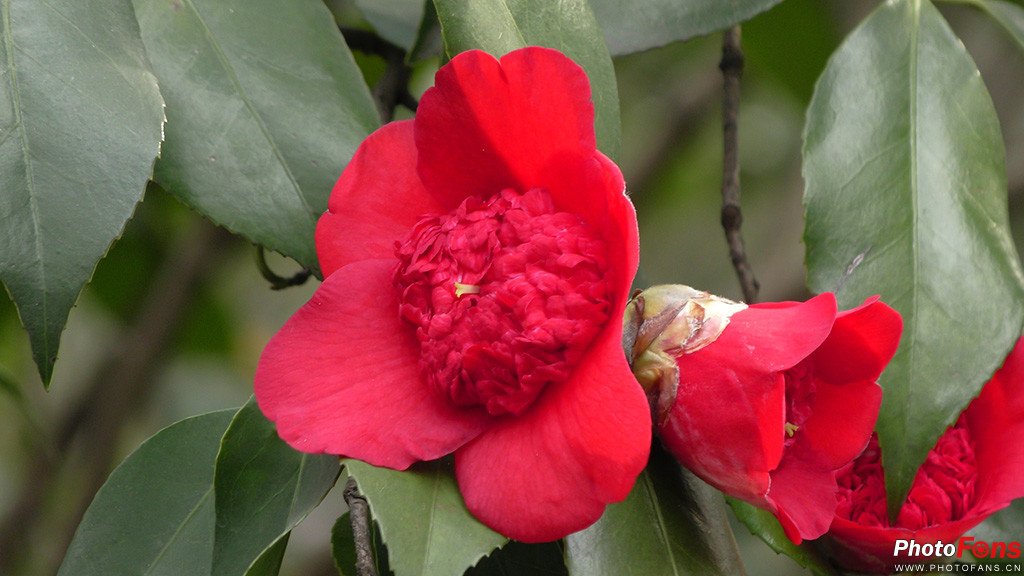 松下hc-vx980m使用说明,松下vx9804k测评