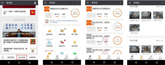 鸿辉公司的跨界思维:从产业链生态圈到个性化定制