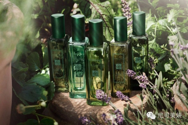 letsgoto和letsgo有什么区别,letsgo和letwego区别