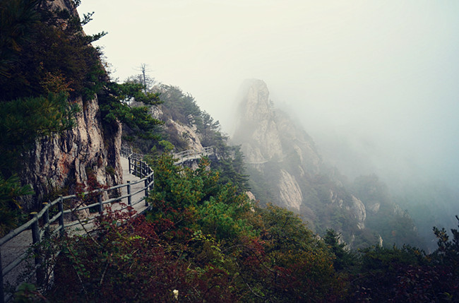 老君山仙境高清图片,老君山似天上宫阙
