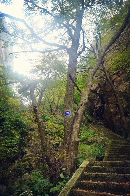 老君山仙境高清图片,老君山似天上宫阙