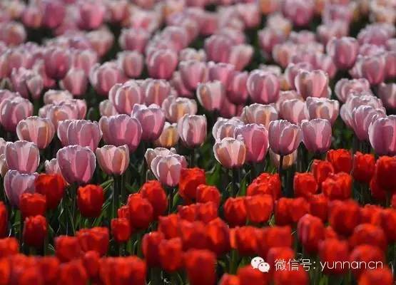 今天昆明飞广州航班新闻,昆明飞往广州5735航班最新消息