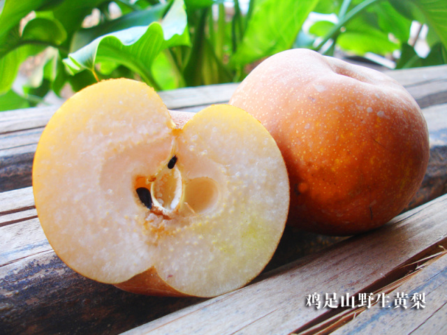 顺时而食节气美食推荐惊蛰篇,今日惊蛰食谱大全