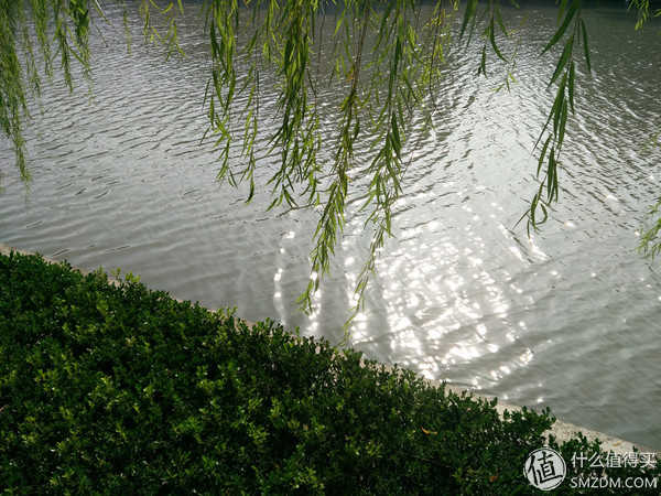 vivox5max值不值入手,vivox5max是最薄的手机吗