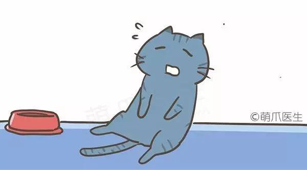 喵星人为什么剃毛,喵星人为什么会乱撒尿