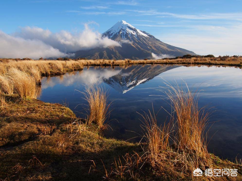 新西兰最好的蜂蜜品牌,新西兰蜂蜜哪个品牌最好