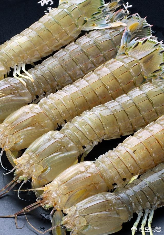 爬爬虾的虾黄可以吃吗,吃爬爬虾需要剥虾线吗