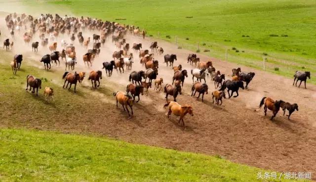 武汉到兰州的高铁票开卖了,一起去西北看看吧!