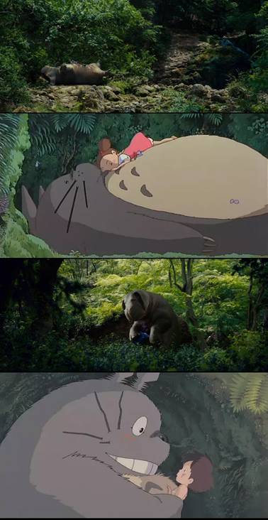 奉俊昊电影作品推荐,奉俊昊喜欢看的电影