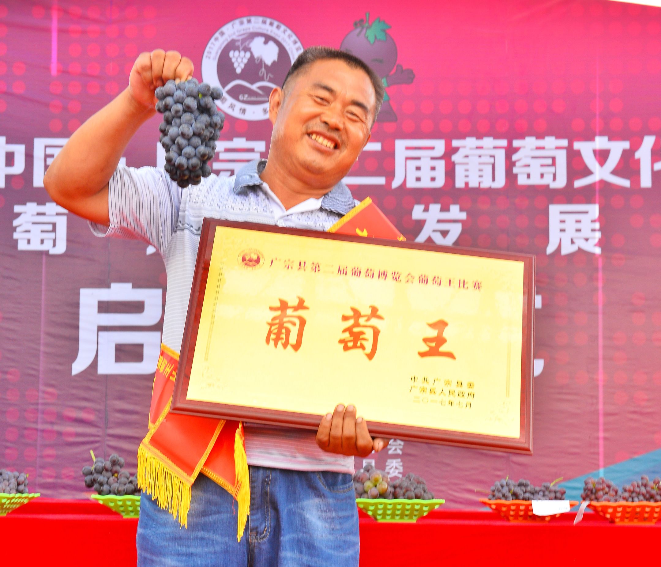 邢台广宗,葡萄王来了