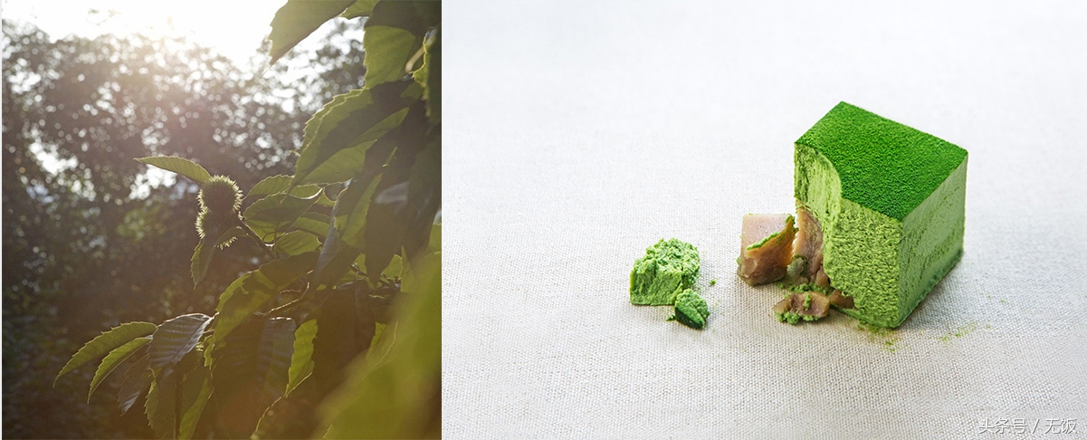 21cake营销策略研究,21cake烘焙