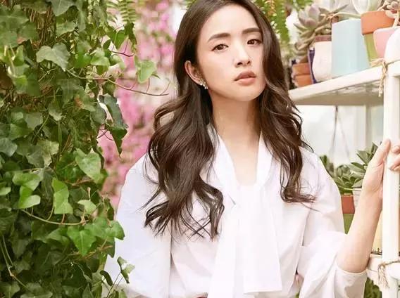 林依晨参加选美,林依晨为什么在23岁立下遗嘱