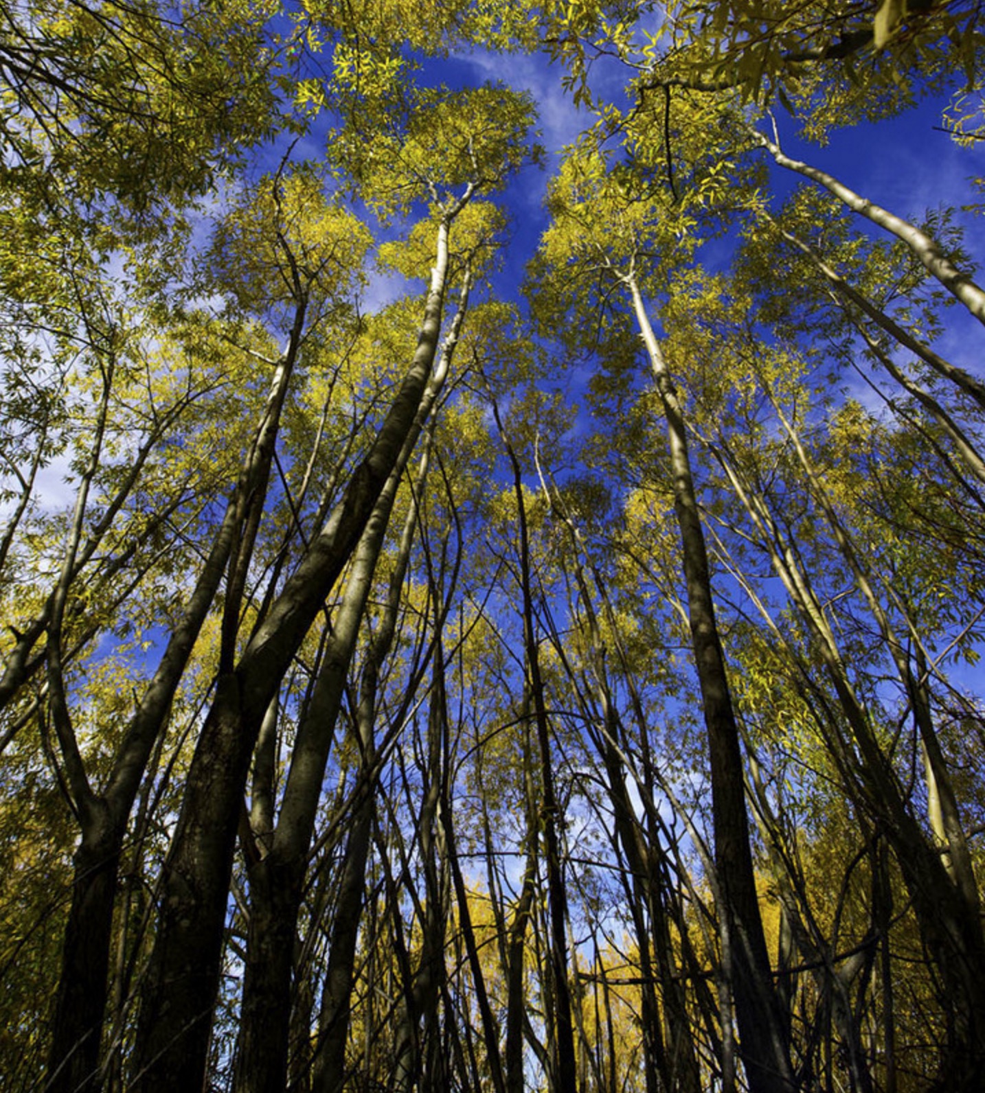 新西兰南岛的冬天,新西兰南岛秋天最佳时间