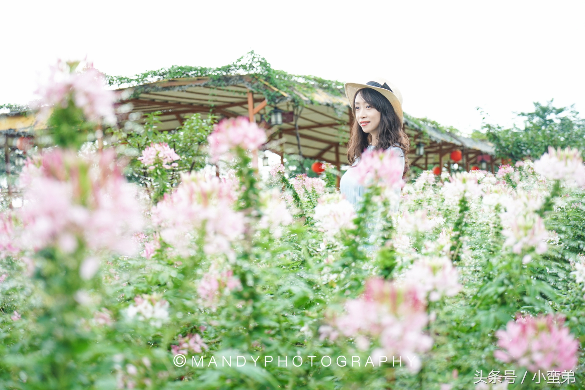 广州周边不为人知的宝藏景点,广州水上乐园旅游景点推荐