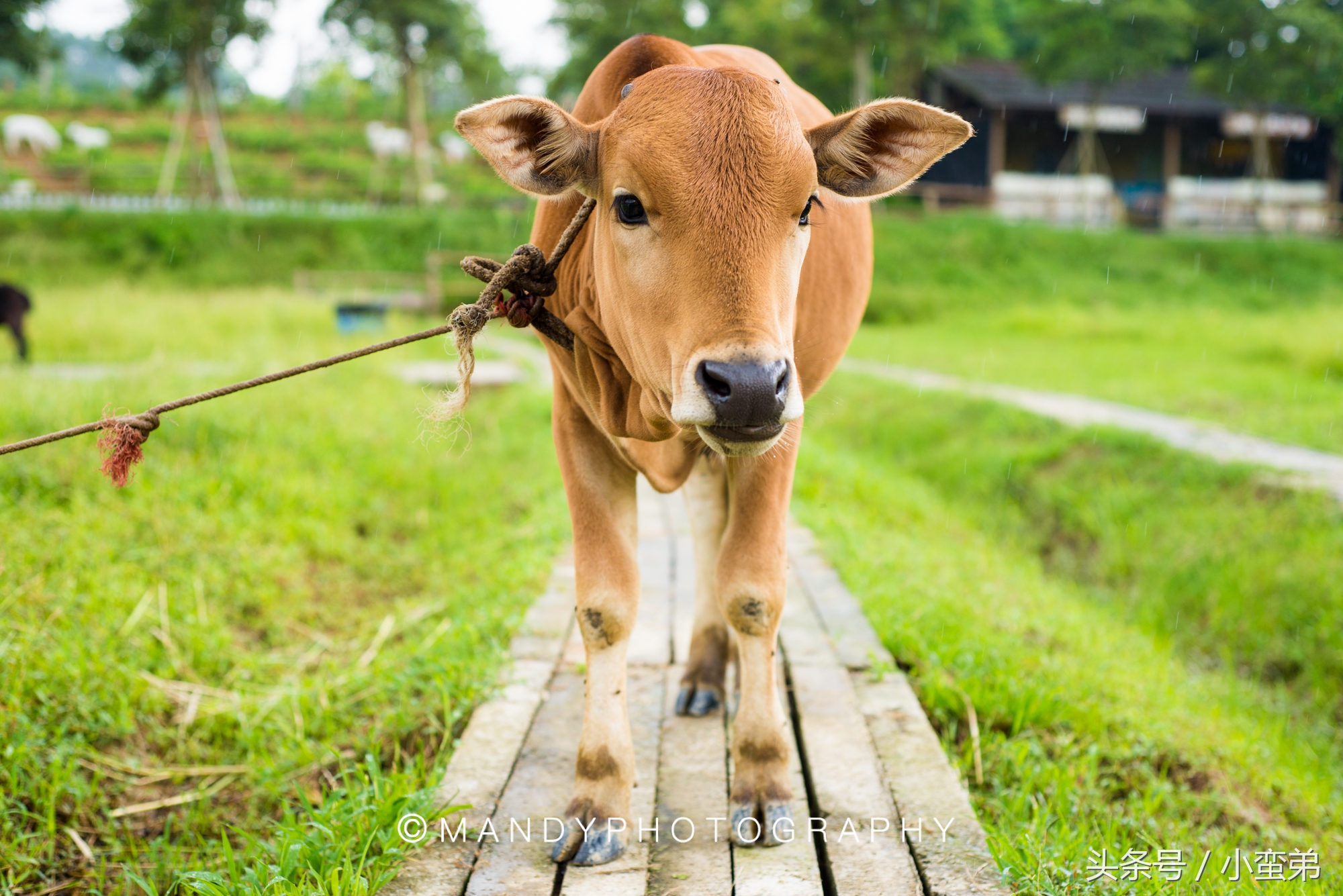 广州周边不为人知的宝藏景点,广州水上乐园旅游景点推荐