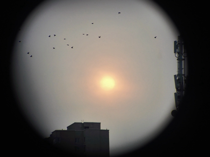 云光熊猫望远镜评测,云光熊猫与熊猫望远镜的区别