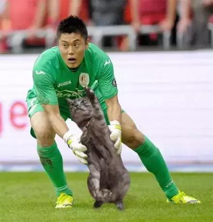 网友把足球PS成猫咪,毫无违和感!看什么看,没猫你踢什么球!