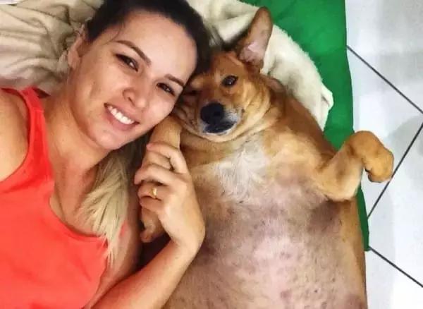 网友把足球PS成猫咪,毫无违和感!看什么看,没猫你踢什么球!