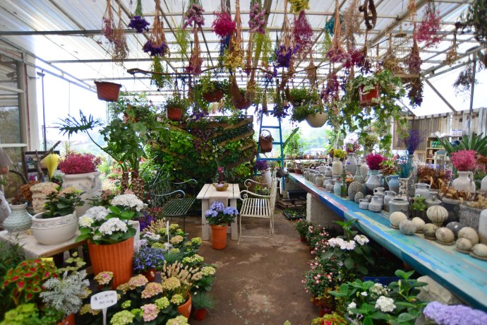 花园拜访,成都玛莉亚色彩花园电话