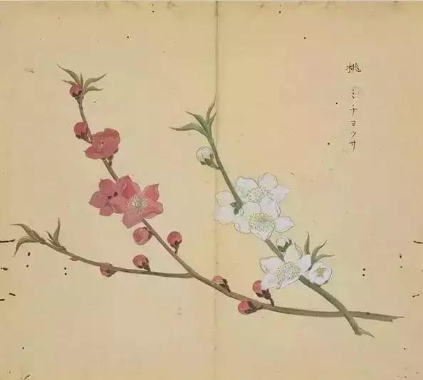 诗经正版书籍推荐,诗经入门书籍当当网