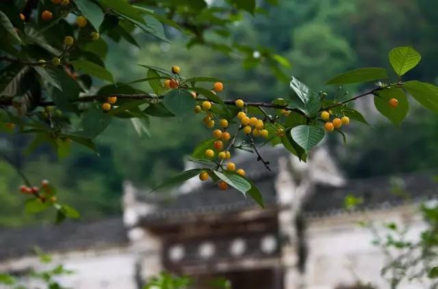 宜昌周边适合避暑的古镇,宜昌小众避暑景点