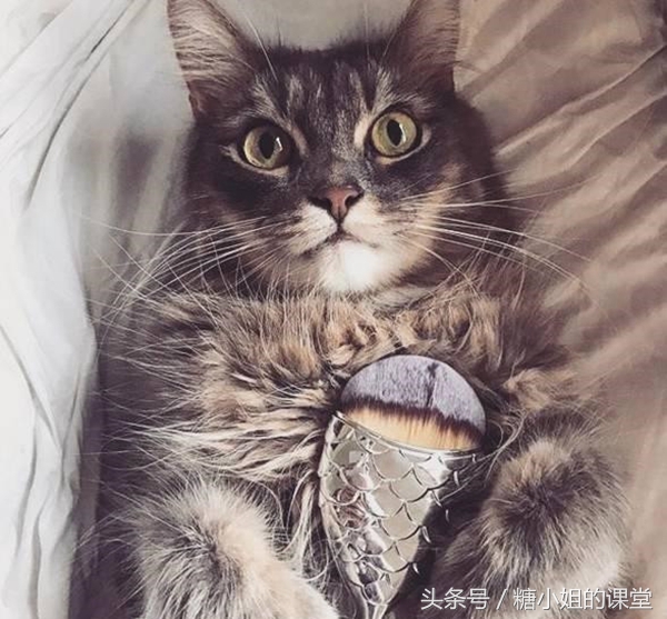 当朋友圈被咸鱼化妆刷刷屏,我想起了那些年我们刷脸用的魔法杖