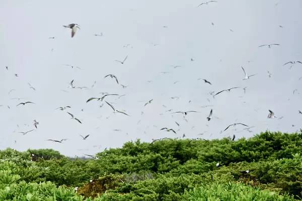 去塞舌尔用不用护照,塞舌尔护照免签国2024