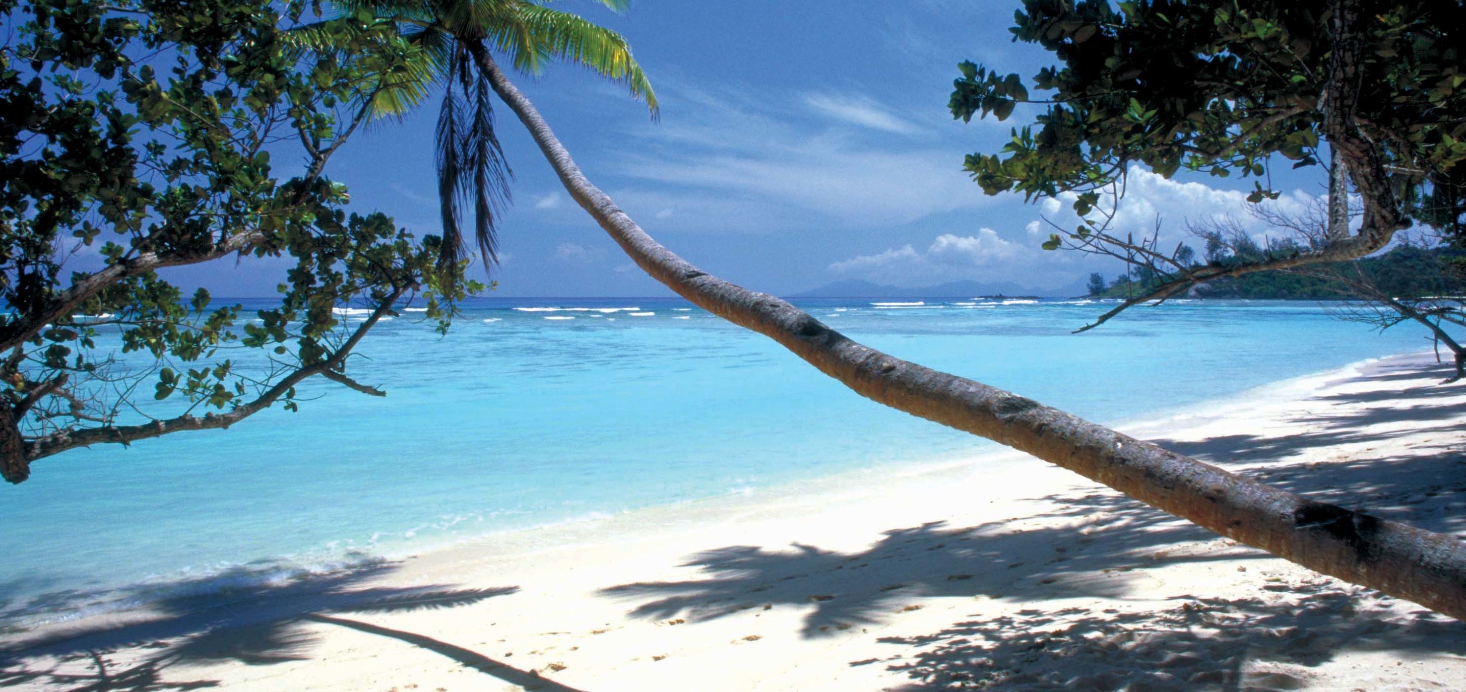 去塞舌尔用不用护照,塞舌尔护照免签国2024