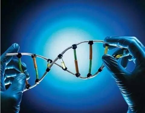 甯傚満闇囪崱鍥炴殩鍏虫敞瓒呰穼涓偂,琛屾儏鍒嗘瀽鎸佺画闇囪崱灏忓績鍓嶉珮闃诲姏