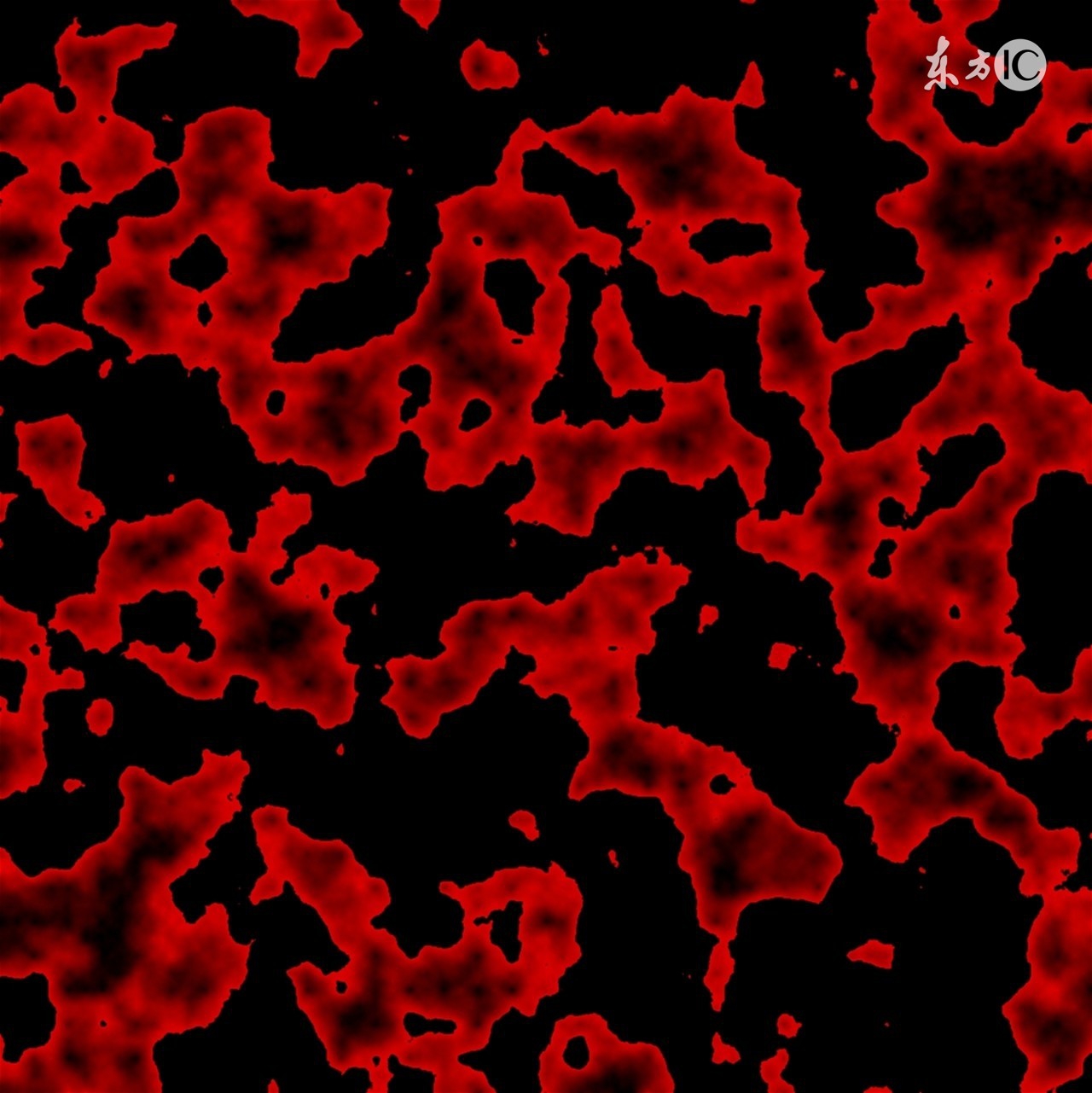 冬季猪病防治问答题及答案,猪病问答100句