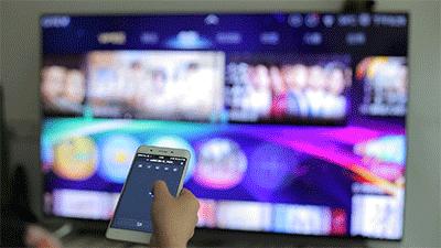 夏普电视以前的辉煌,夏普巅峰