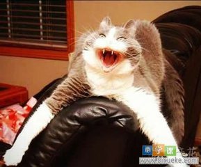 我就像一只趴在玻璃窗上面的苍蝇,我就像一只趴在玻璃上的苍蝇