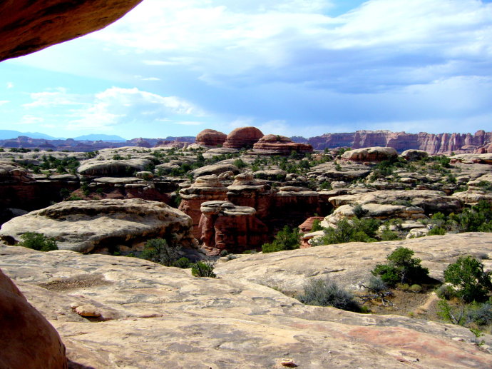 美西大峡谷简介,美国红杉国家公园一日游