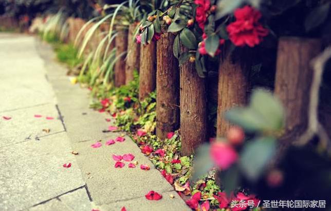 法式浪漫永远不过时,优雅的法式浪漫生活