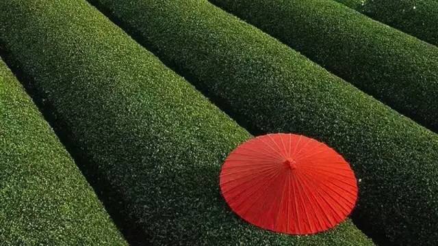 高远品质生活全集,崇高品质生活